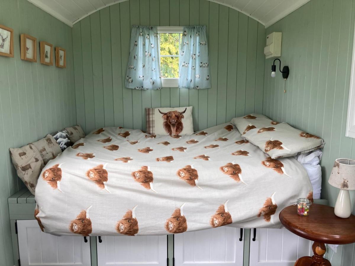 Bells Meadow Shepherds Hut King's Lynn Exterior foto