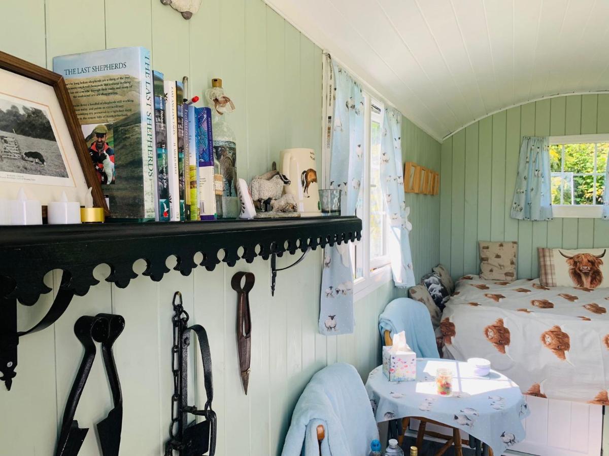 Bells Meadow Shepherds Hut King's Lynn Exterior foto