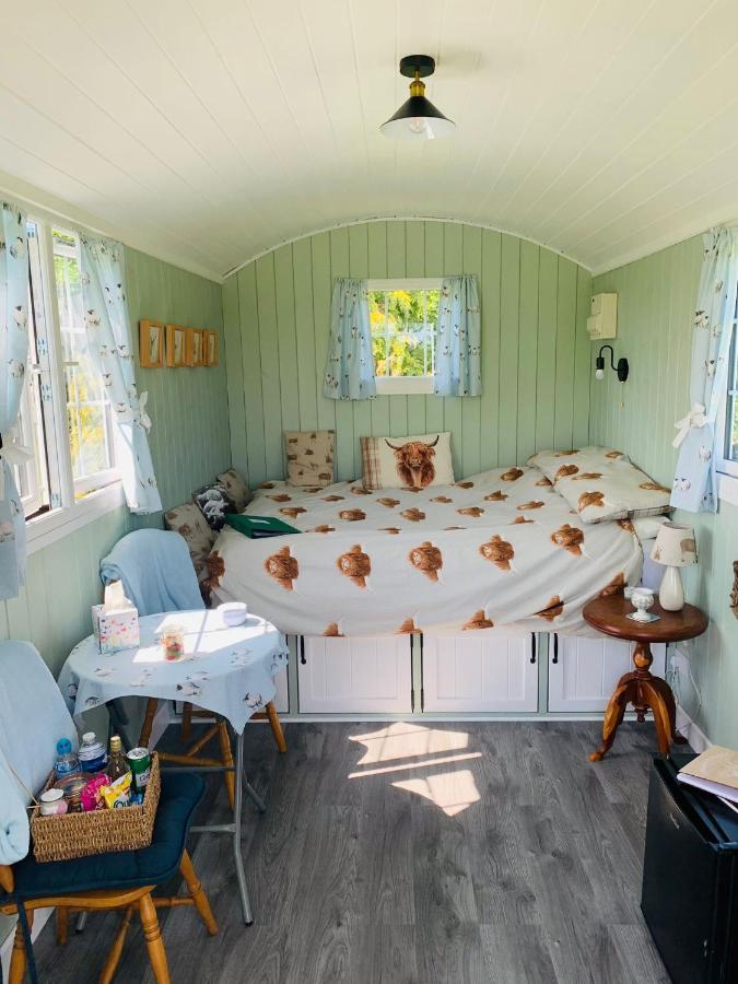 Bells Meadow Shepherds Hut King's Lynn Exterior foto